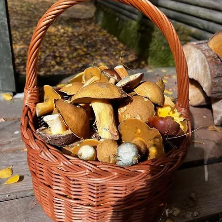 U Rybaka Na Mazurach Z Basenem * Guzowy Piec