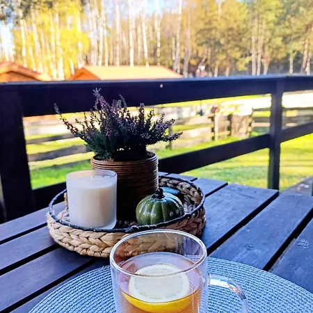 U Rybaka Na Mazurach Z Basenem *